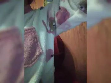 Bongacams Private Sex Chat of Angelinamik