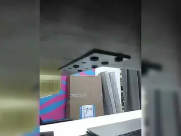 Bongacams Adult Webcams of Angelinamik