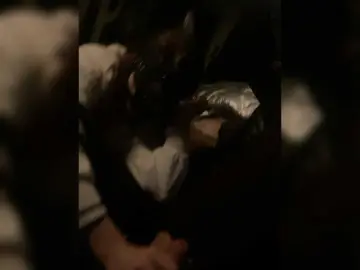 AryLexy from bongacams