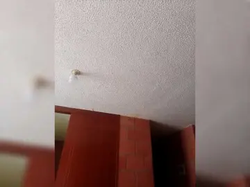 Bongacams Live Sex of IMENET