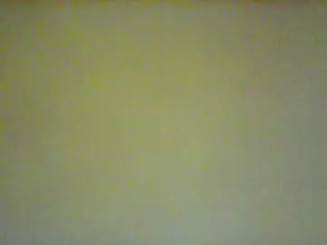 Bongacams Adult Webcams of Rarra