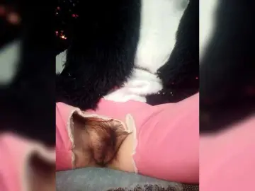 hujiajiajia1314 from bongacams