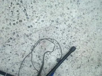 Bongacams Free Live Porn of moxa-hot