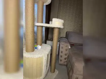 Bongacams Best live sex cam show of Adel9