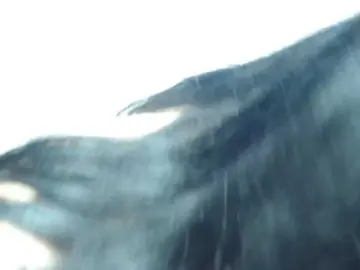 Bongacams Nude Webcam of SexyViagra69