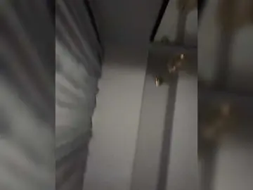 Bongacams Adult Webcam of TumanANGELINA