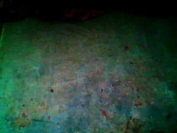 Bongacams Best Webcam of Allycha1