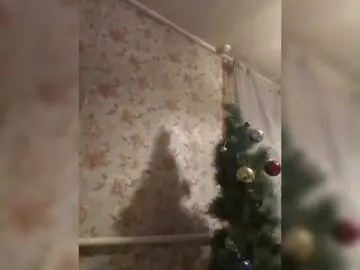 Bongacams Sex Chat of CerdAyaz