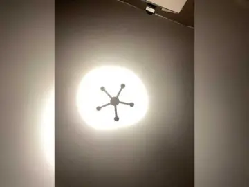 Bongacams Best Webcam of Xyligana