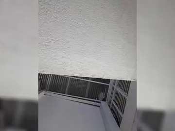 Bongacams Adult Webcams of ElizHarper