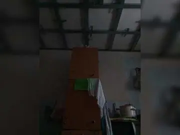 Bongacams Adult Webcam of Fox981