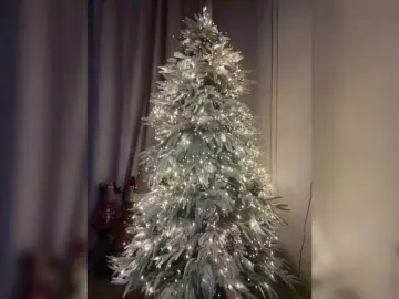 Bongacams Free Live Porn of -Molly-