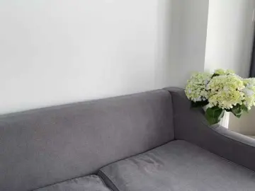 Bongacams Sex Cam of FlyingDutchmana