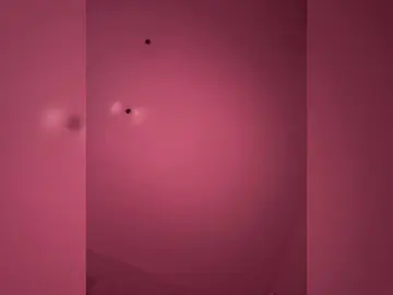 Bongacams Live Sex Cam of VIP17CoupleDream