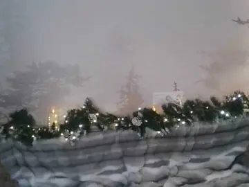 Bongacams Adult Webcam of Kissz