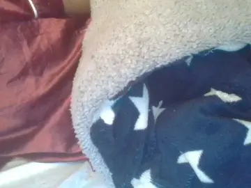 Bongacams Adult Webcam of ShallyVee