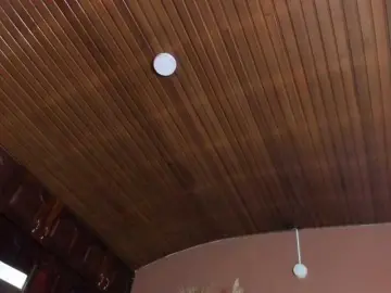 Bongacams Live Sex Cam of ELECKTRA-SWEET