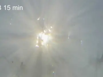 Bongacams Free Live Porn of AlikBlack