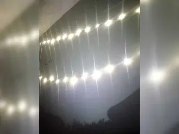 Mangopol from bongacams