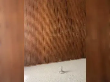 Bongacams Sex Chat of Pamela-Velvet