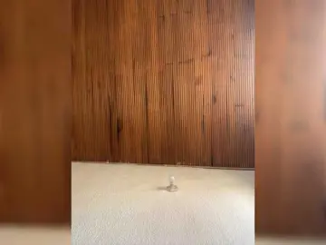 Bongacams Private Sex Chat of Pamela-Velvet