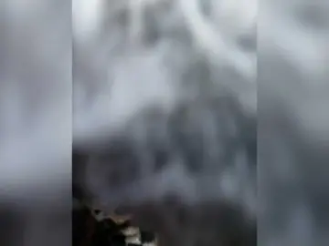 Bongacams Sex Chat of AlexaBrown12