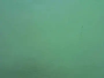 Bongacams Live Sex Cam of Luci-anna