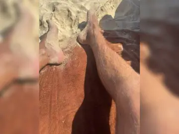 Bongacams Watch Live Sex Cams of VolnaV