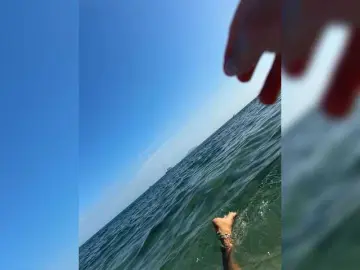 Bongacams Watch Live Sex Cams of VolnaV