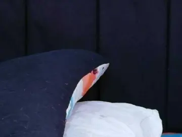 Bongacams Private Sex Chat of friendsmom