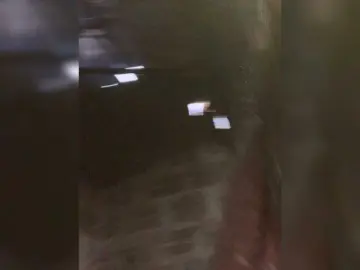 Bongacams Live Sex Cam of Lily388