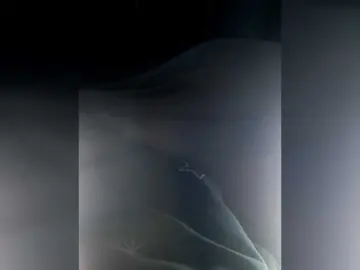 Bongacams Free Porn Cam of Kariros