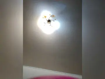 Bongacams Live Sex Cam of MilfaSguirt