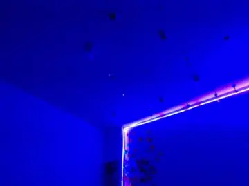 Bongacams Watch Live Sex Cams of Sammyviolet