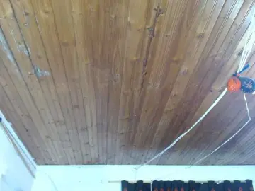 Bongacams Live Sex of Karolcoott