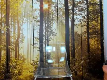 Bongacams Free Porn Cam of SatyneQueen