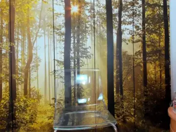 Bongacams Live Porn of SatyneQueen