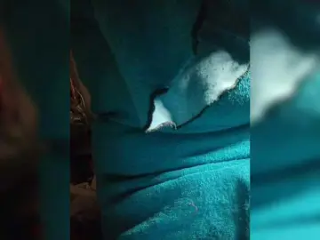 Bongacams Sex Cam of EmpressLady