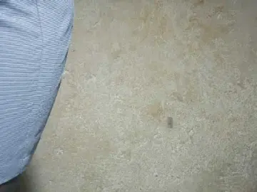 Bongacams Watch Live Sex Cams of sexxynila