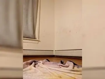 Bongacams Free Live Porn of Sexyred3141-1