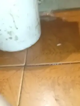 Cam4 Sex Cam of Ayeelp6