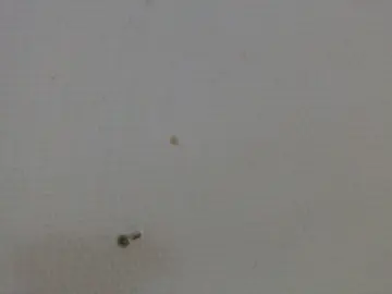 Cam4 Live Sex Cam of axa5