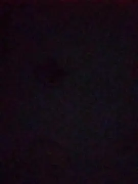 Cam4 Adult Webcams of Lilbigtoys420