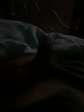 Cam4 Best Webcam of Ziccherino