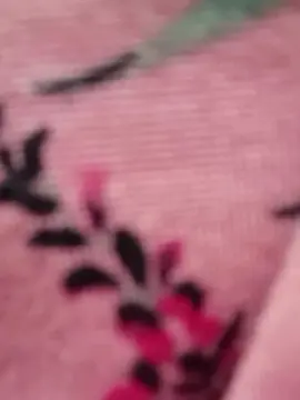 Asianbride85 from cam4