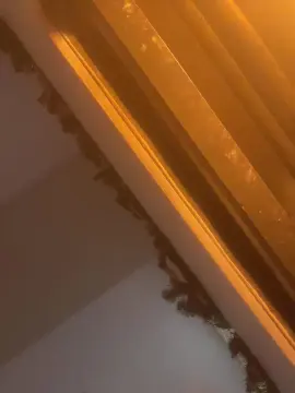 Cam4 Private Sex Chat of News0026