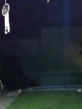 Cam4 Adult Webcams of santi621