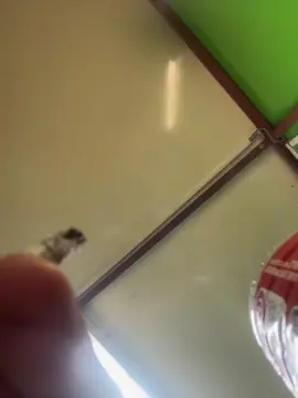 Cam4 Private Sex Chat of stevenh85