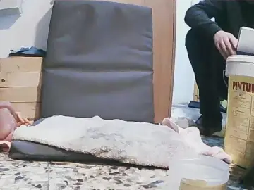 Cam4 Best live sex cam show of dar121730