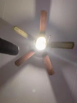 Cam4 Watch Live Sex Cams of chubbyissy38